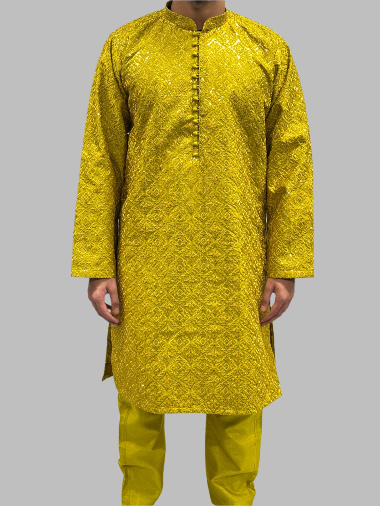 Light Mehndi Green Sequin Embroidery Front View