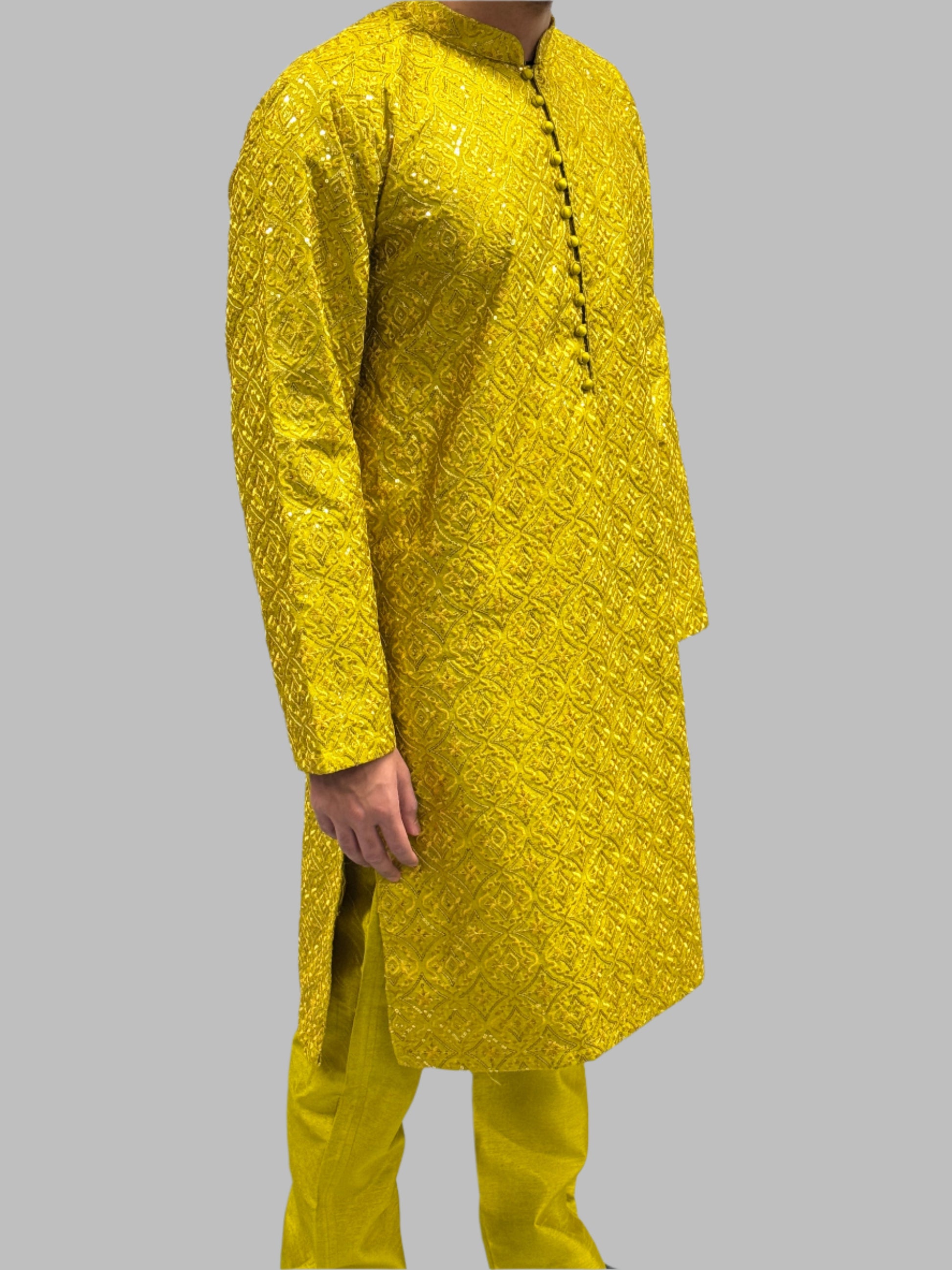 Light Mehndi Green Sequin Embroidery Side View